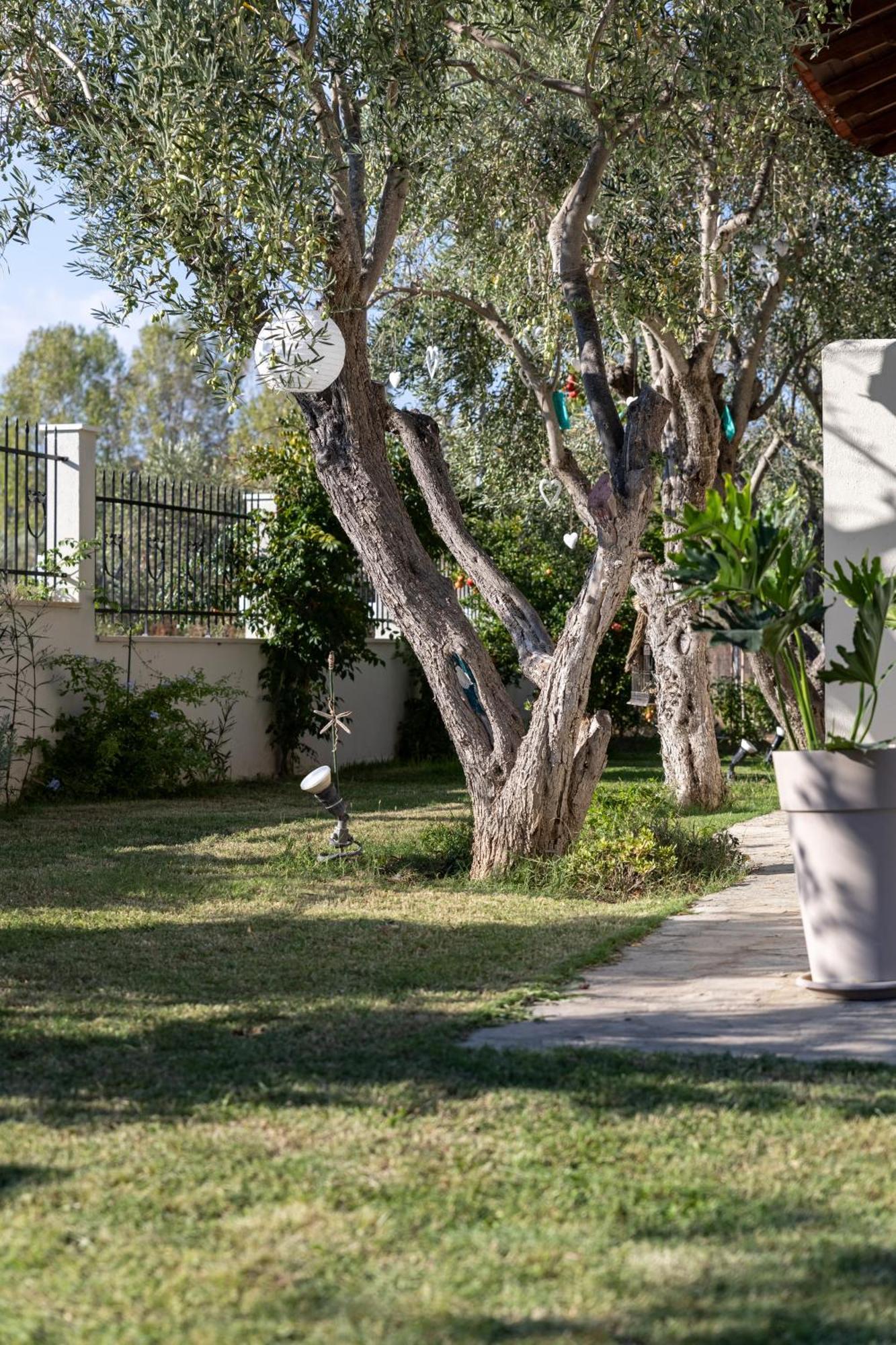 Villa Joy Ormos Panagias Dış mekan fotoğraf