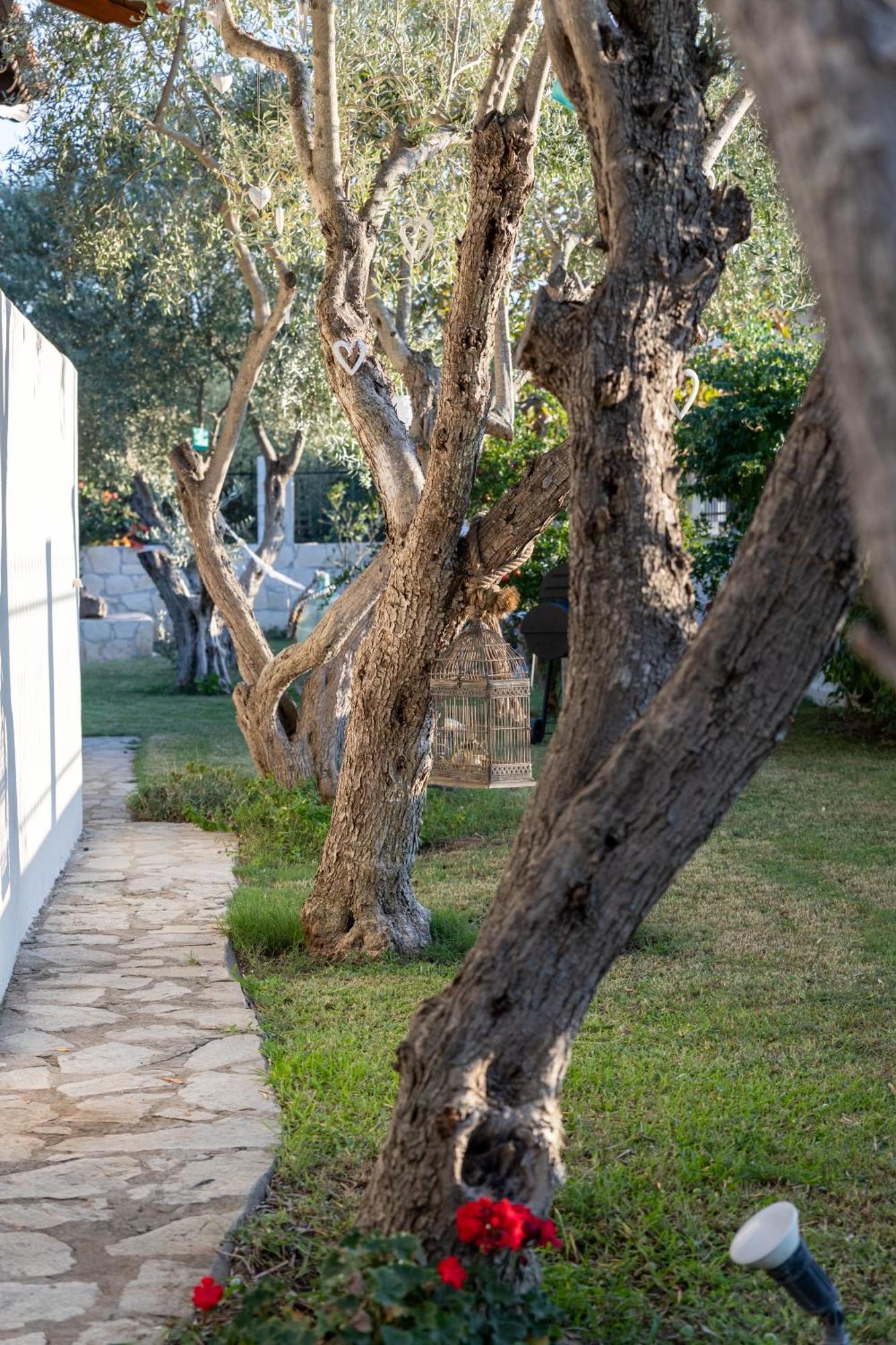 Villa Joy Ormos Panagias Dış mekan fotoğraf